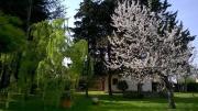 Top SantʼElpidio a Mare