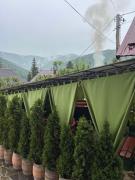Top Yaremche
