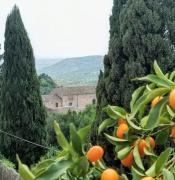 Orto dei Frati