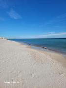 Top Orange Beach