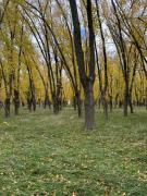 Top Carmen de Areco