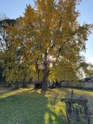 Top Carmen de Areco