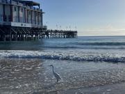 Top Daytona Beach