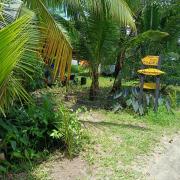 Top Buenaventura