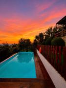 Top Zoopiyi