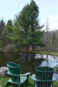 Top Windham
