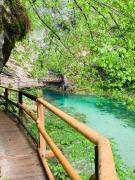 Top Bled