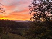 Top Weaverville
