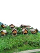 Hoàng Su Phì - Móng Ngựa Homestay