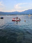 Top Tivat