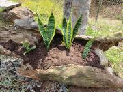 Top Jardin