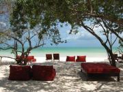 Top Isla Holbox