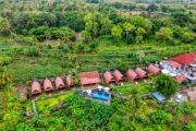 Bunut Bungalow