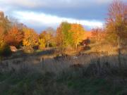 Top Broddetorp