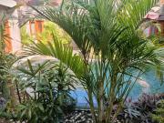 Top Legian