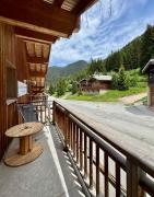 Top Modane
