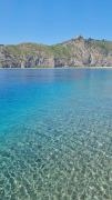 Top Falcone