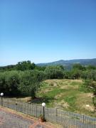 Top Montescudaio