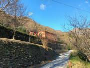 Top Favale di Malvaro