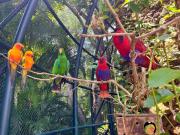 Baan Botanica - An Estate Beyond Imagination