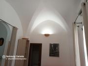 Top Pulsano