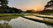 Baan Botanica - An Estate Beyond Imagination