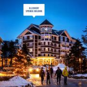 Top Snowshoe