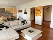 Castagnola Luxury Apartment