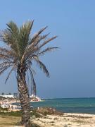 Top Hammamet