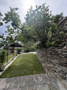 Top Bieno