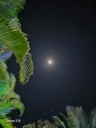 Top Lonavala