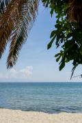 Top Paralia Katerinis