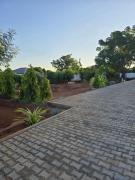 Top Livingstone