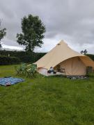 Hal`s at Killynick
