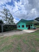 Green Rose House