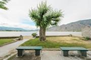 Top Osoyoos