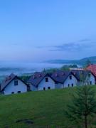 Top Solina