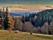 Top Hlavňovice
