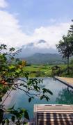 Top Yên Bài