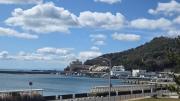 Top Wakayama