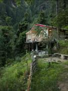 Top Jibhi
