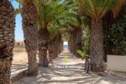 Top Porto Santo