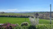 Top Morrovalle