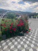 Nevade home