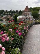 Top Bern