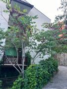 Top Sozopol Top Sozopol