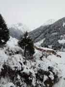 Top Barot