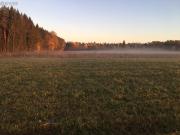 Forest Studio with Sauna in Tartu