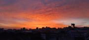 Top Porto Alegre