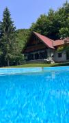 Top Borlova